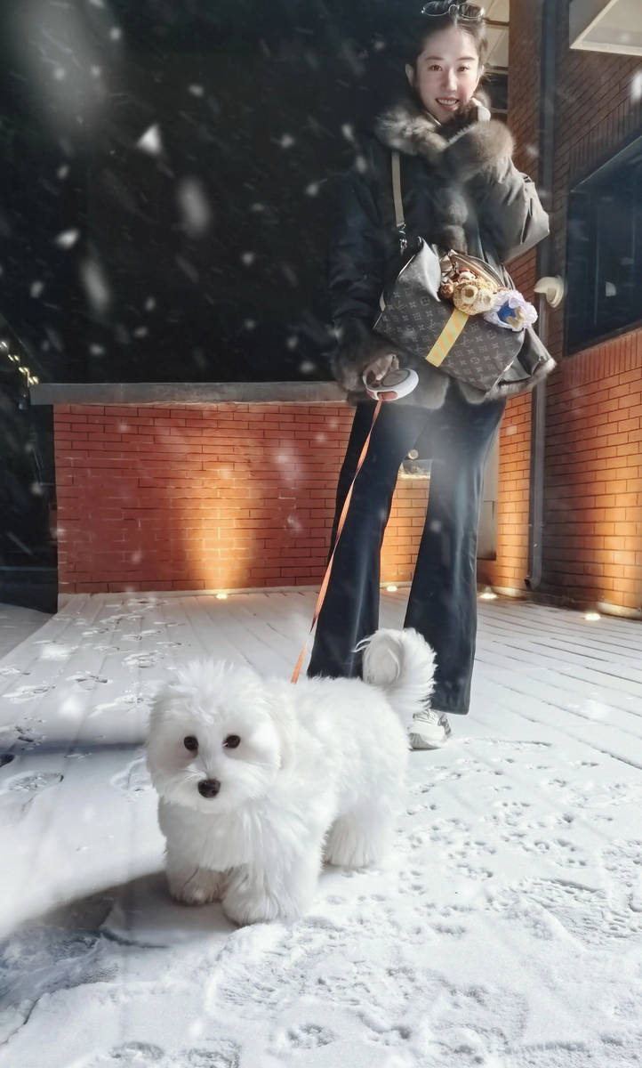 刘亦菲晒与爱犬合照 穿浅色裙子笑容甜美又治愈