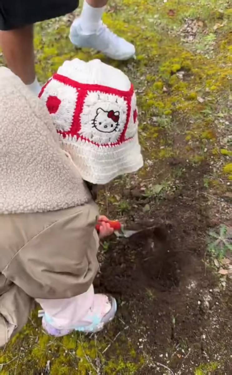 周杰伦昆凌带娃户外挖黑松露 温馨治愈趣味满满