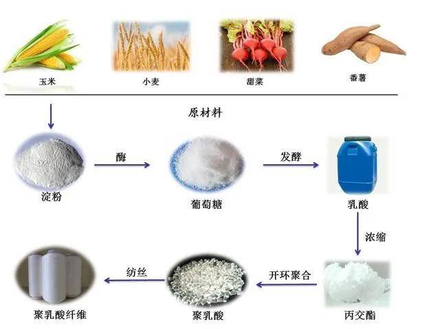 聚乳酸纤维会自己“消失”的环保材料(图5)