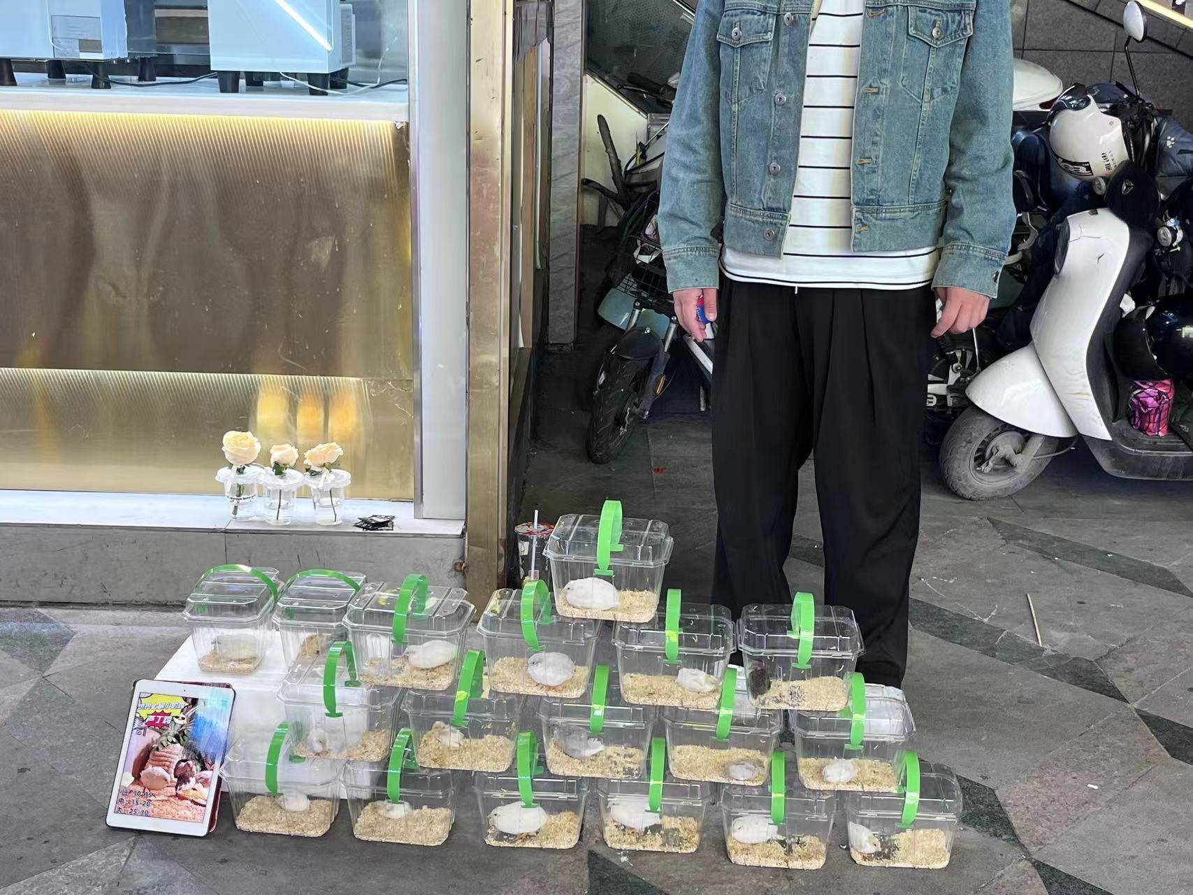 创业小白适合做什么生意？分享5个创业小项目，适合个人创业