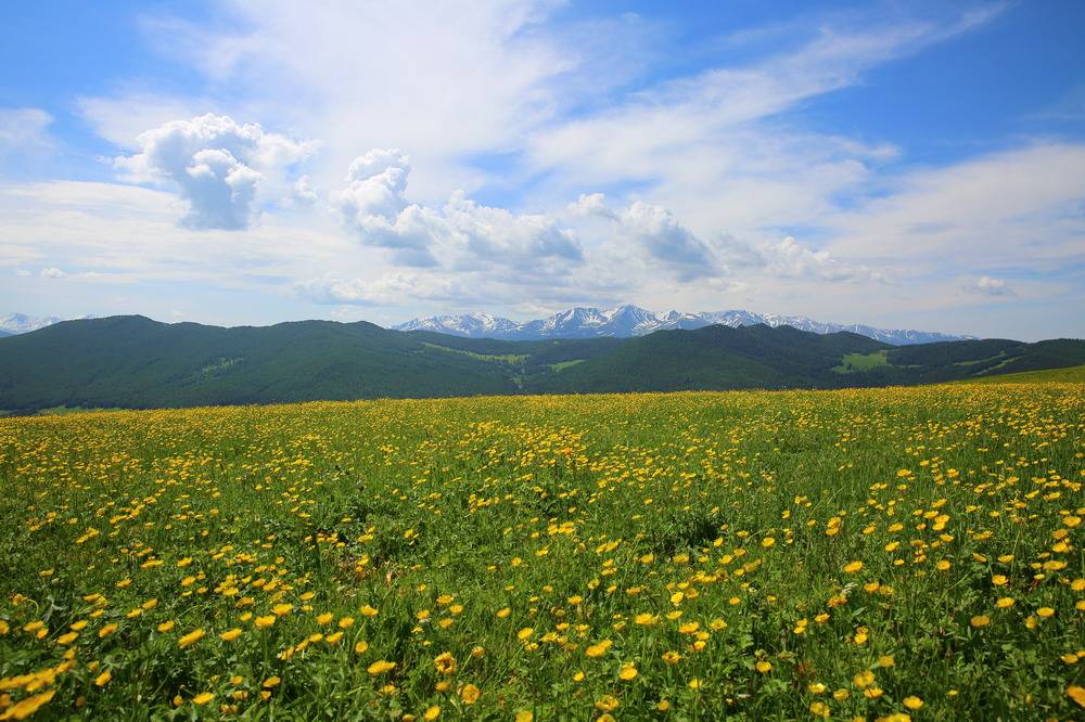 经济参考报:正宗一肖一码100中奖图片大全-第四届明月山生态旅游文化节在重庆梁平区举行