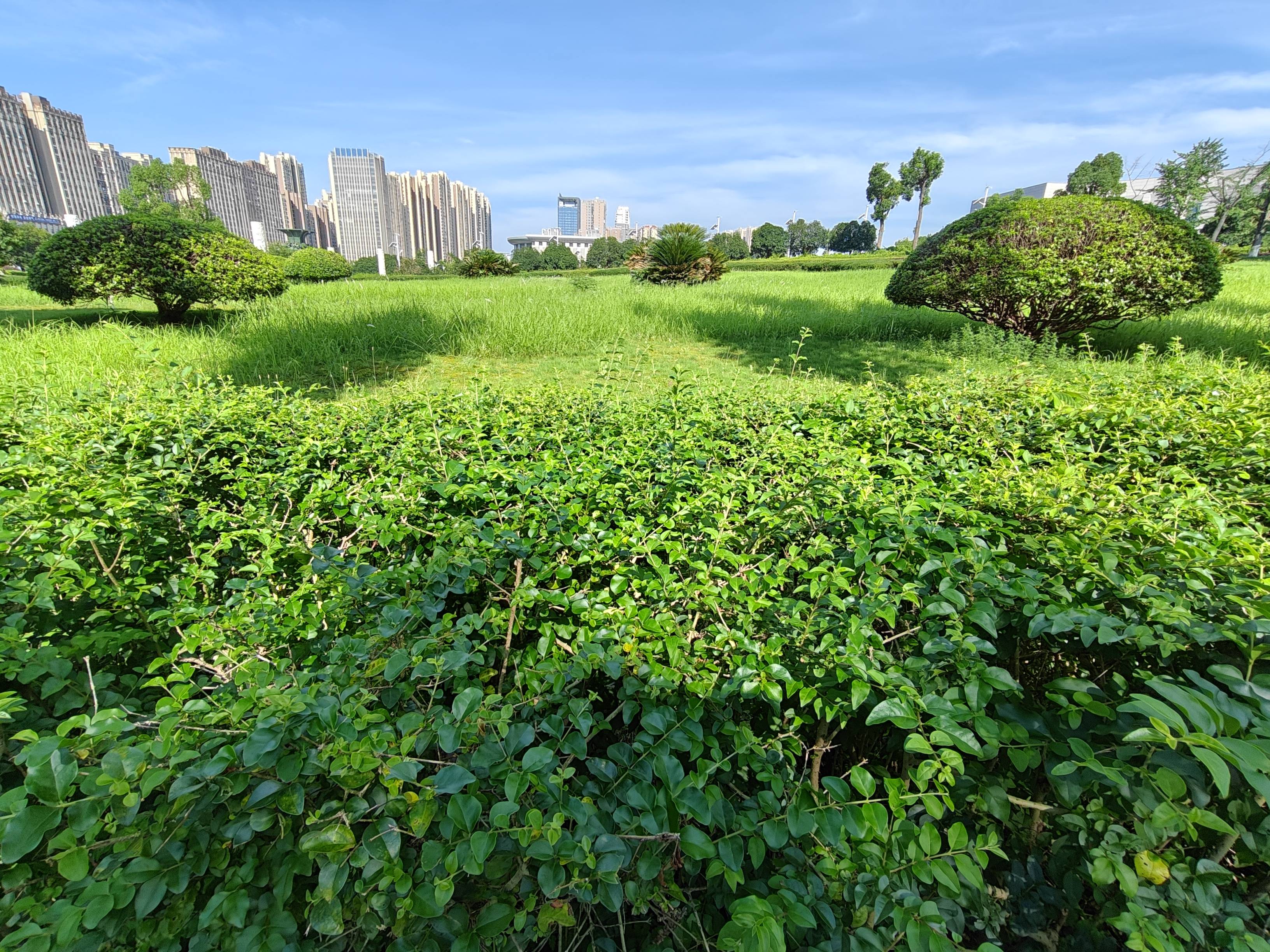 虎牙：香港最准100‰一肖中特-成渝双城教师教育协同创新发展 夯实教师发展共同体