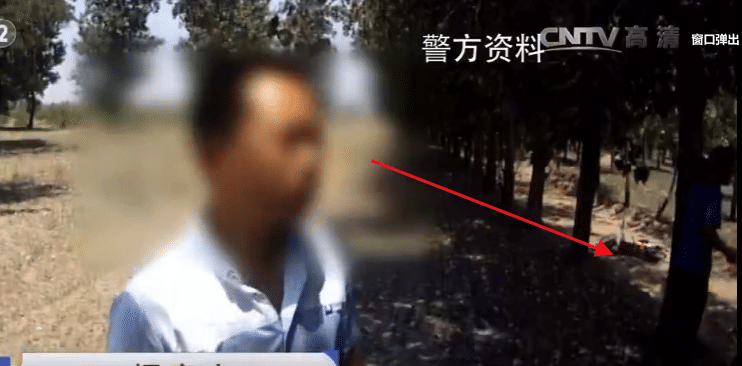 原创            30岁男子坐牢14年，为下载色情电影，竟强奸抢劫杀害48岁妇女
