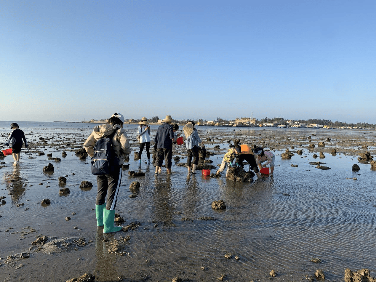 海南亲子宝藏赶海地，解锁滩涂野趣！