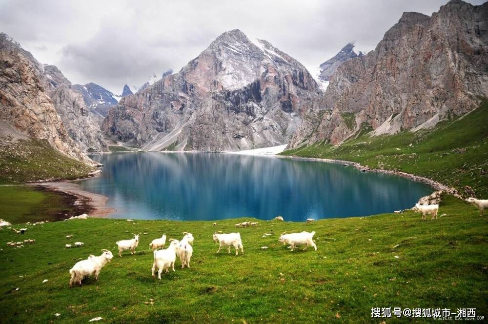 美味之旅新疆8天7晚美食探险：从大盘鸡到葡萄沟的舌尖盛宴新疆美食攻略自由行攻略(图1)