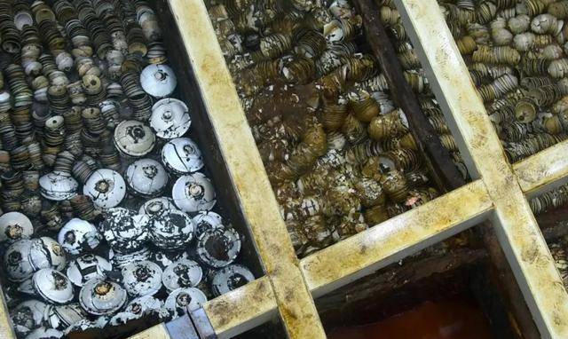 半岛体育官网国家花3亿元打捞的沉船曾藏身海底800年船内藏有8万件珍品(图9)