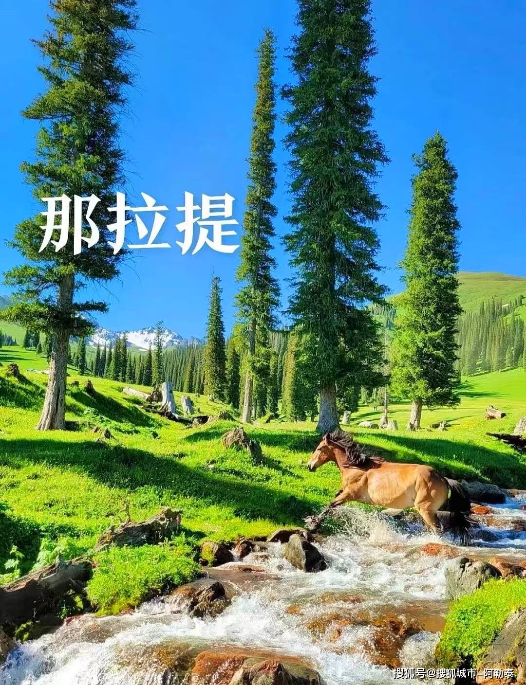新疆牧民马背上的迁徙之旅：逐水草而居的生命史诗