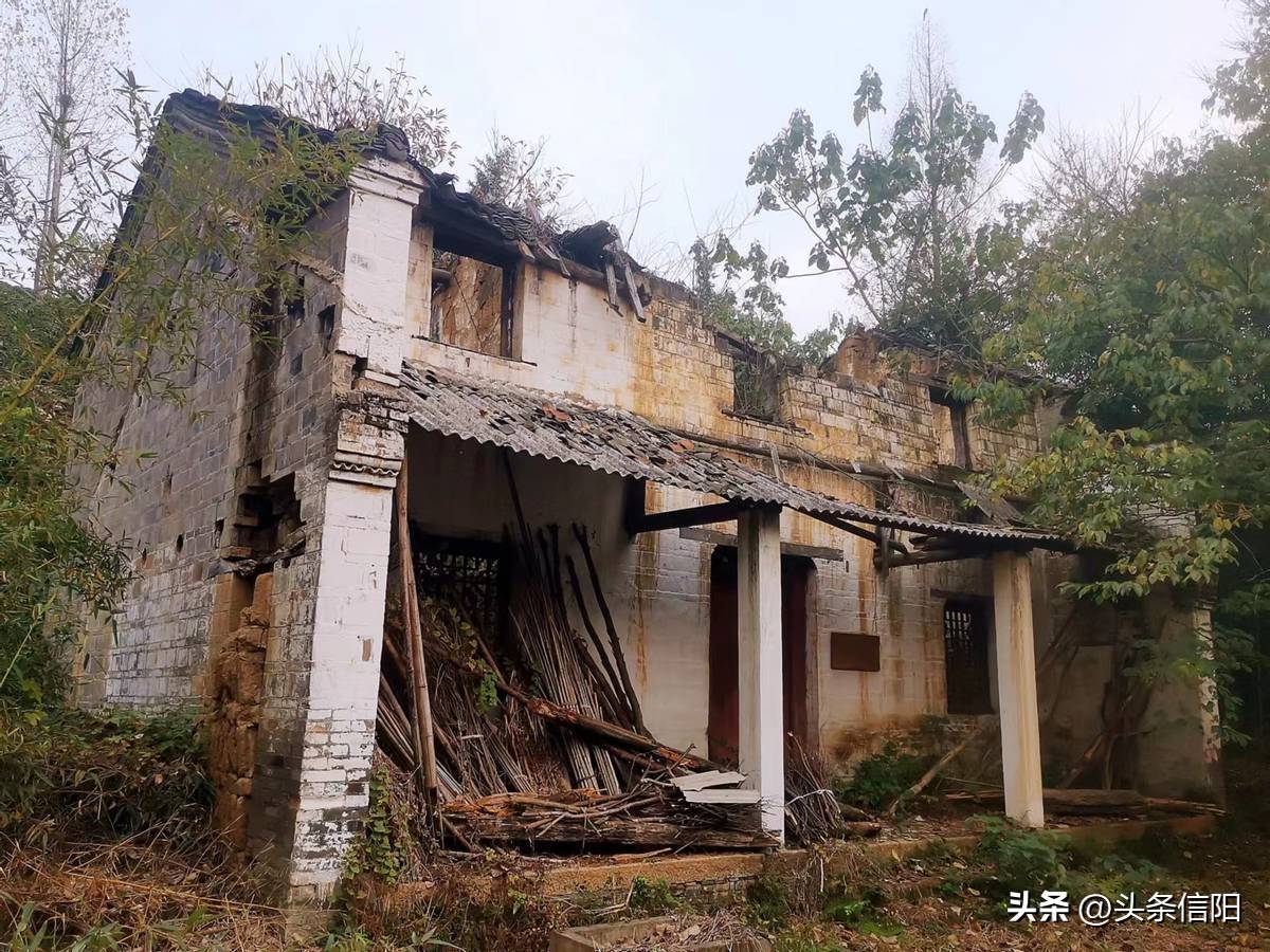 信阳毛尖之父甘以敬开云app(图5)