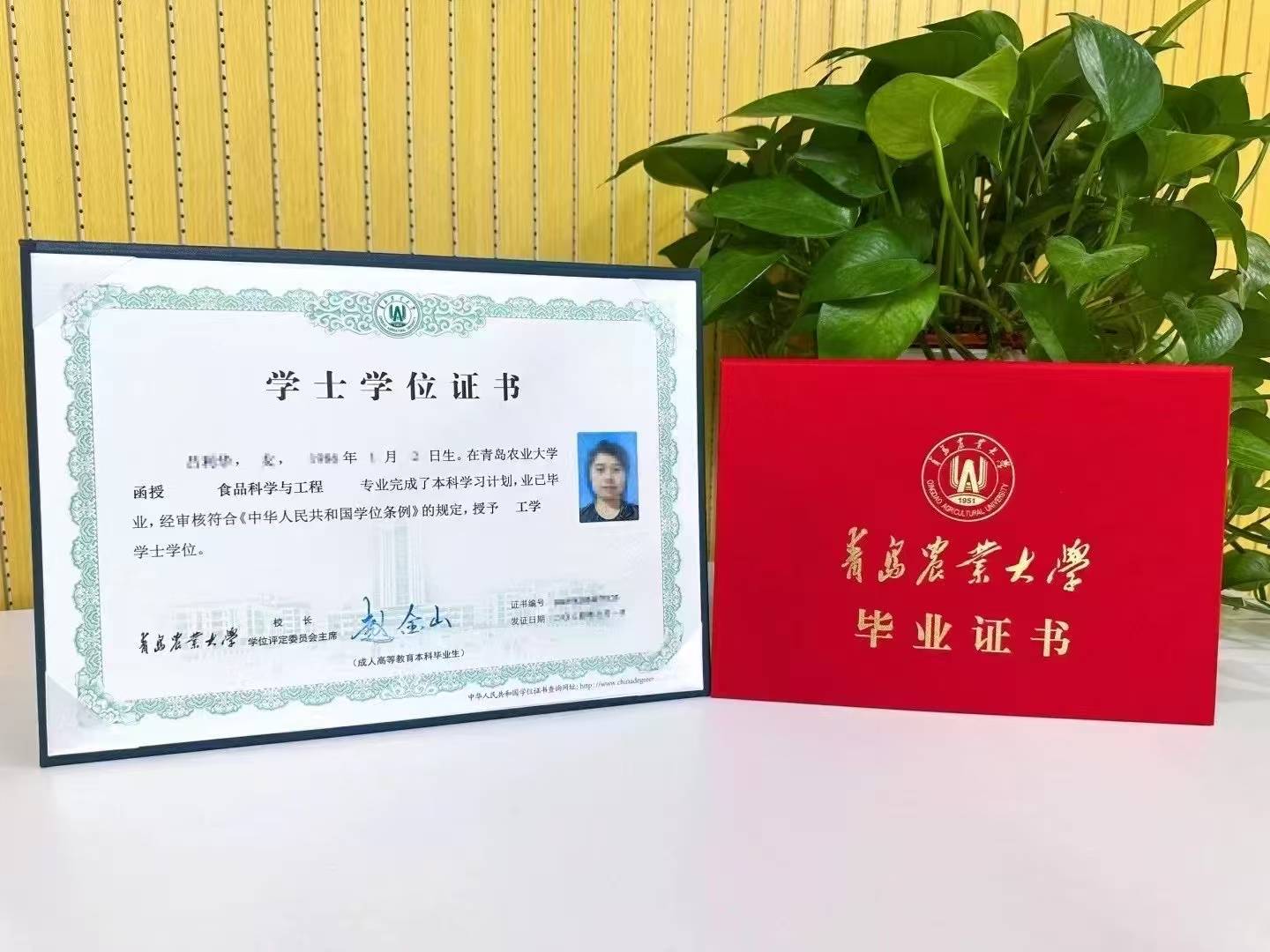 2025济南成人高考：泉城跃动，学海无涯