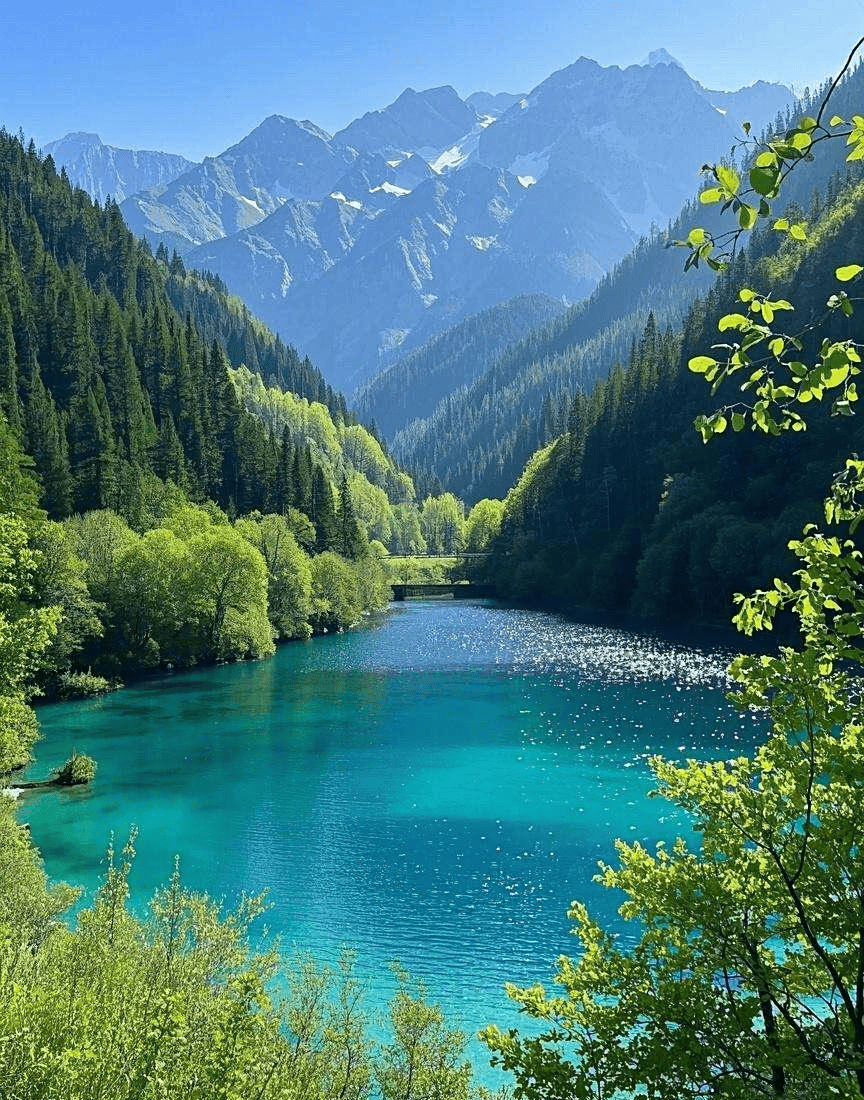 Binance Casino - 领先的数字货币娱乐场，安全稳定，极速存取四川旅游5天4晚多少钱四川五日游旅游团报价保姆级游玩攻略