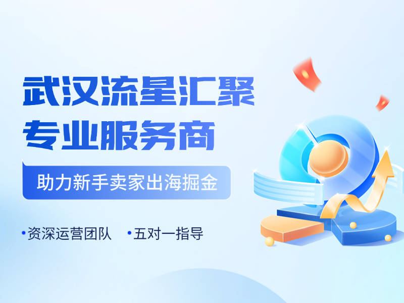 武汉流星汇聚电商公司是干嘛的?在上股交正式挂牌,助力卖家出海