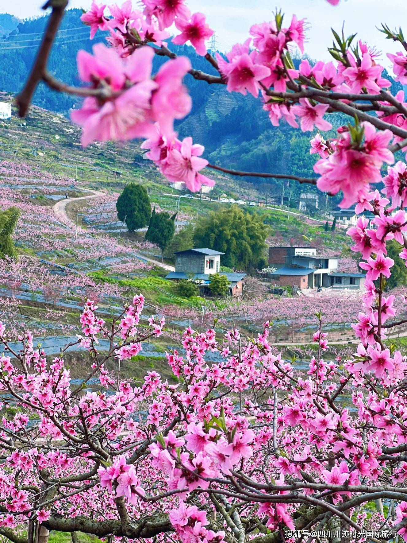 四川旅游成【OKX 哈希游戏】区块链加密