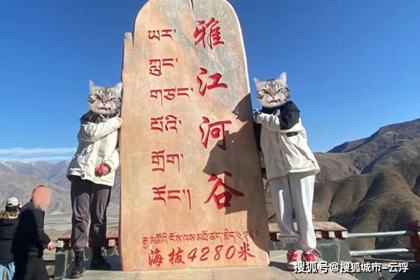文章配图-2