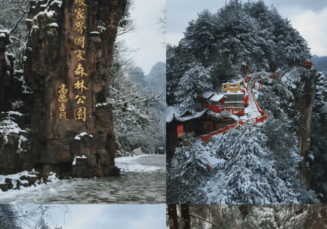 Binance Casino - 领先的