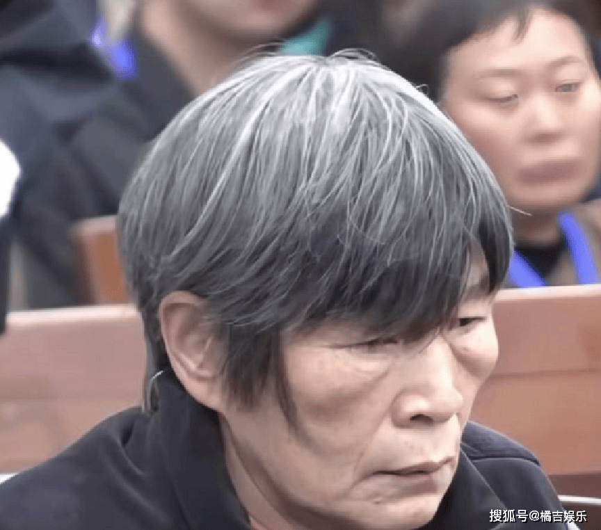 梅姨”落网!潜逃20年终被抓,真实容貌大变样,模拟画像相似度不足三成