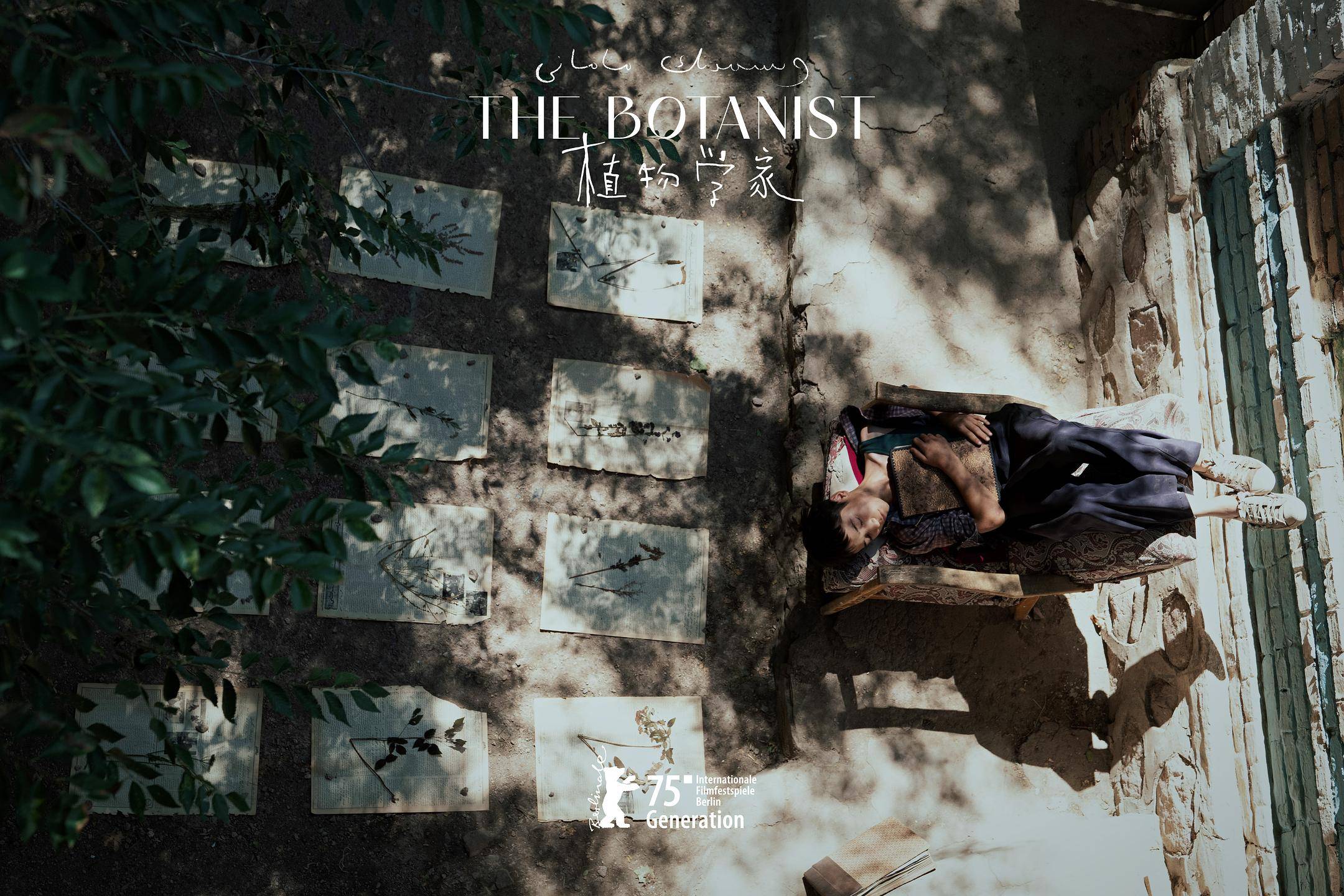 柏林电影节获奖电影《植物学家》定档 将于4月14日全国艺联专线上映