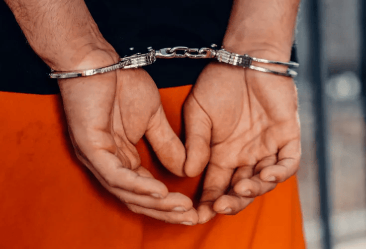 欧洲人权组织：以军训练狗强奸巴勒斯坦人