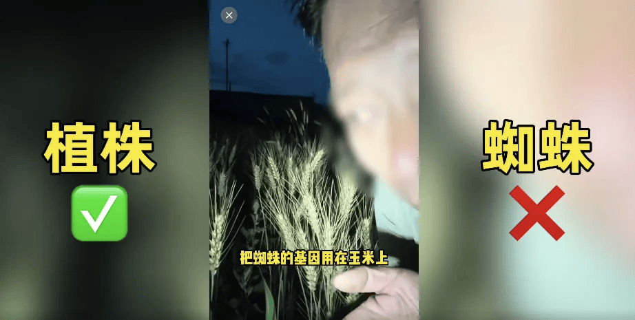 离谱！200万网红抹黑袁隆平育种技术造谣杂交水稻害人