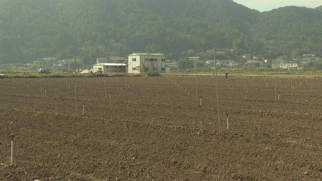 麻将糊了蕉岭新铺:全力打造全域土地综合整治典型样板(图4)