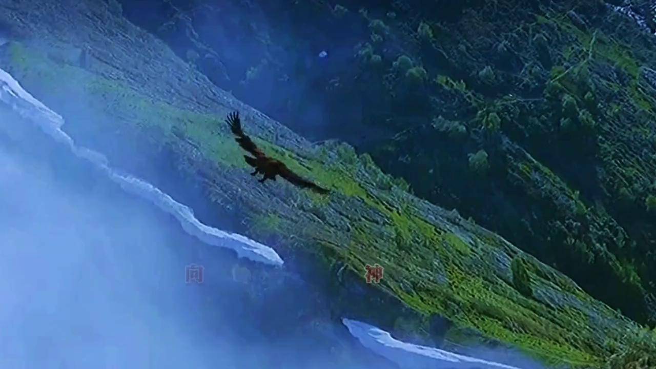 一首《向往神鹰》女声翻唱版，悠扬动听，有种不一样的韵味！