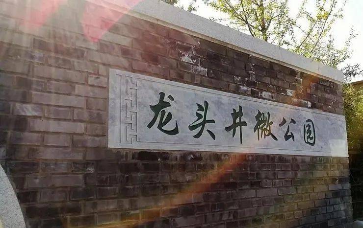 龙年北京寻龙之旅：龙头井