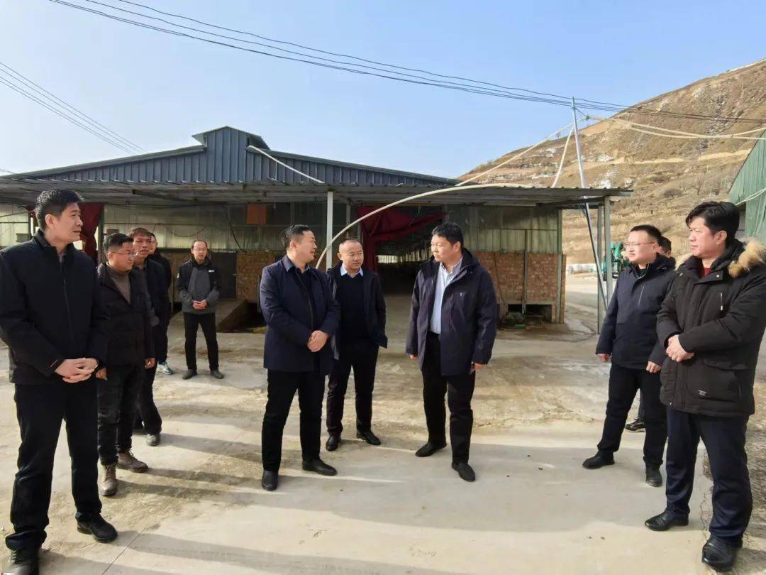 县委常委、政府副县长武震深入虎洞镇调研当前重点工作