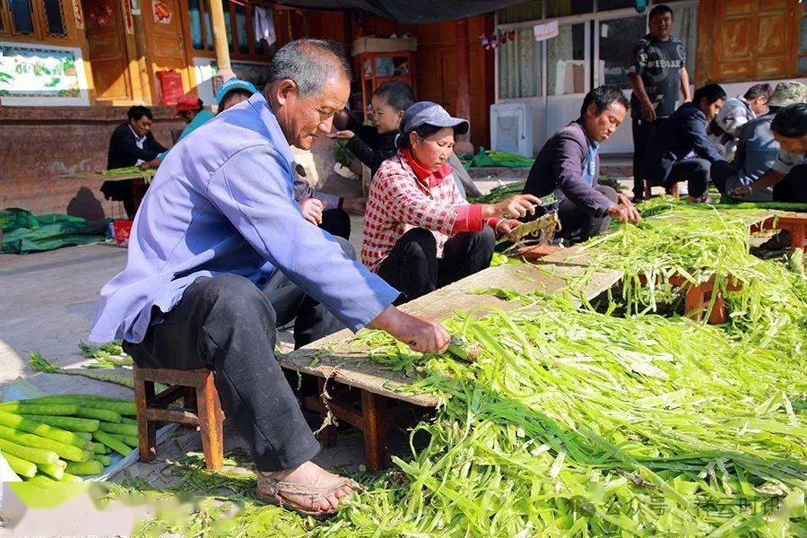 羊肚菌、枇杷 “抢鲜”上市！大理各地早春果蔬尝鲜正当时(图8)