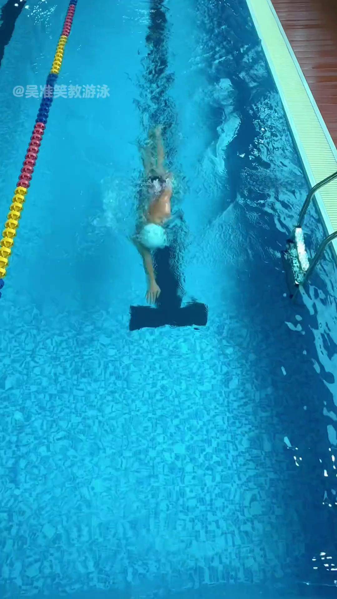 自由泳前滚翻自由泳 日常训练 前滚翻 教学视频 游泳