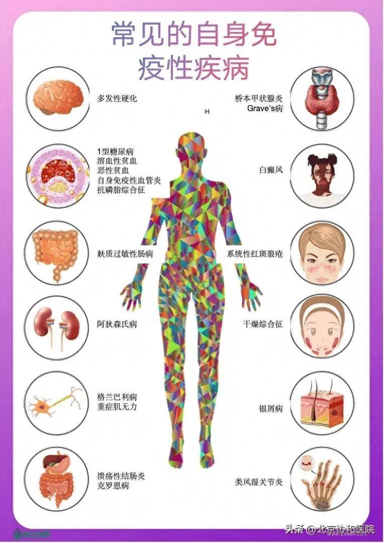 🌸中国气象新闻网【澳门一肖一码100准免费资料】|熄灭香烟换健康！ 温馨巴士志愿者化身“禁烟使者”  第2张