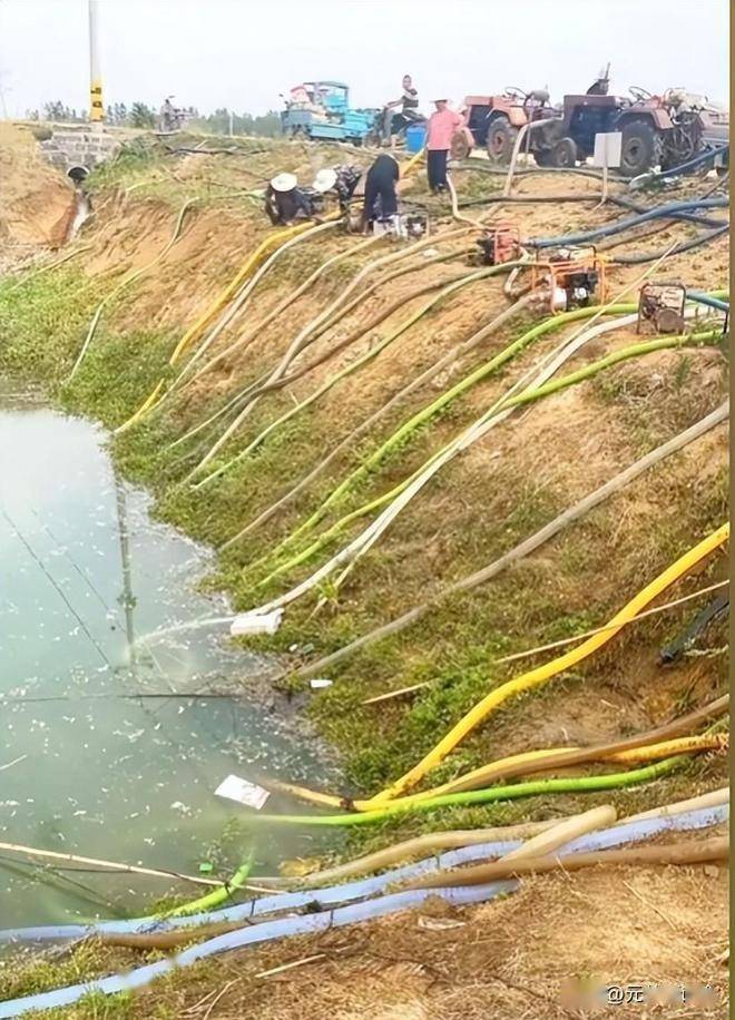 央视追问河南真实旱情，河南抗旱处长：重度特旱，农民在昼夜浇地