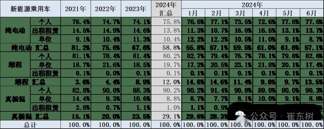 2024年6月新能源车区域市场分析(图4)