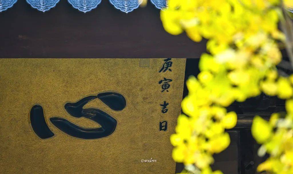 修舍心；通过法会，放下你我分别，功德回向法界一切众生，更是修舍心。