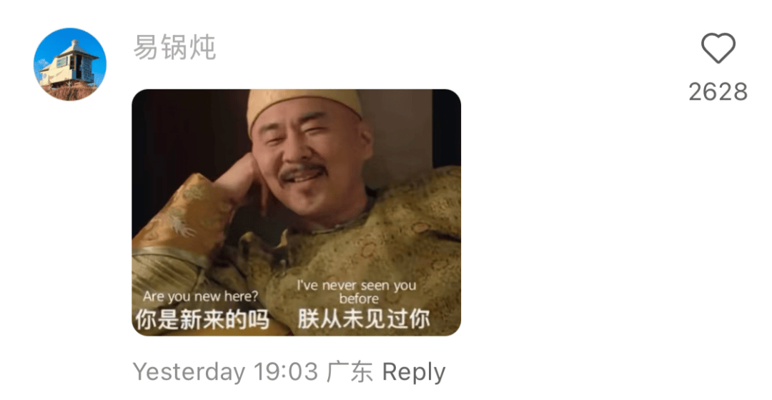 老外的小红书冲浪指南，我逐条学习