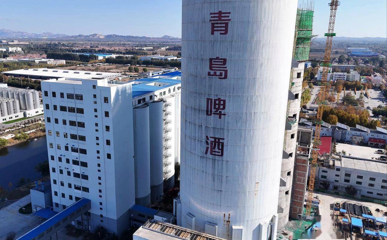 气：一篇文章读懂这个被低估的省份pg试玩舌尖上的山东骨子里的硬(图16)