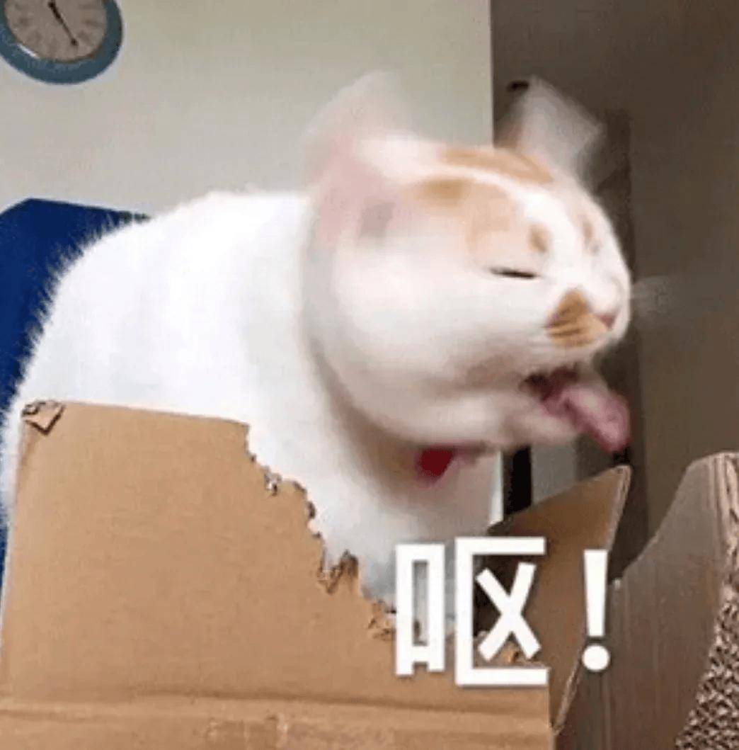 这类隔夜菜宁愿倒掉也别吃！ 尤其别带便当