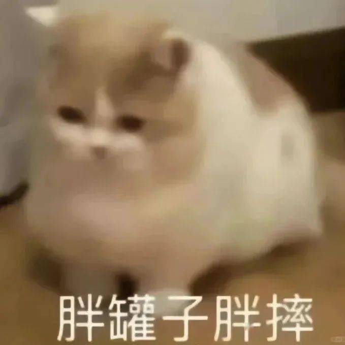 小小粽子新吃法！避免“热量炸弹”！