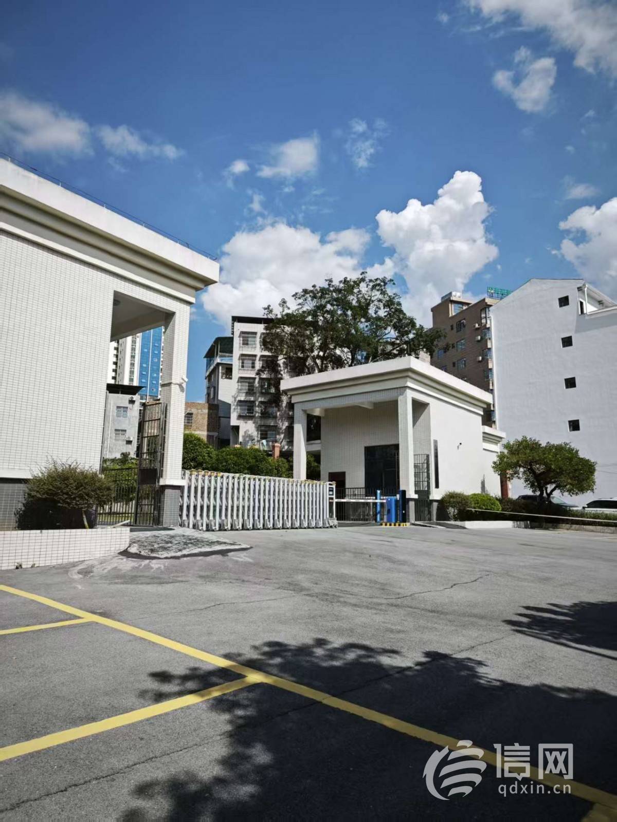 百色一男子避让法院警车摔骨折：警车未亮警灯跨双黄线、责任认定待查