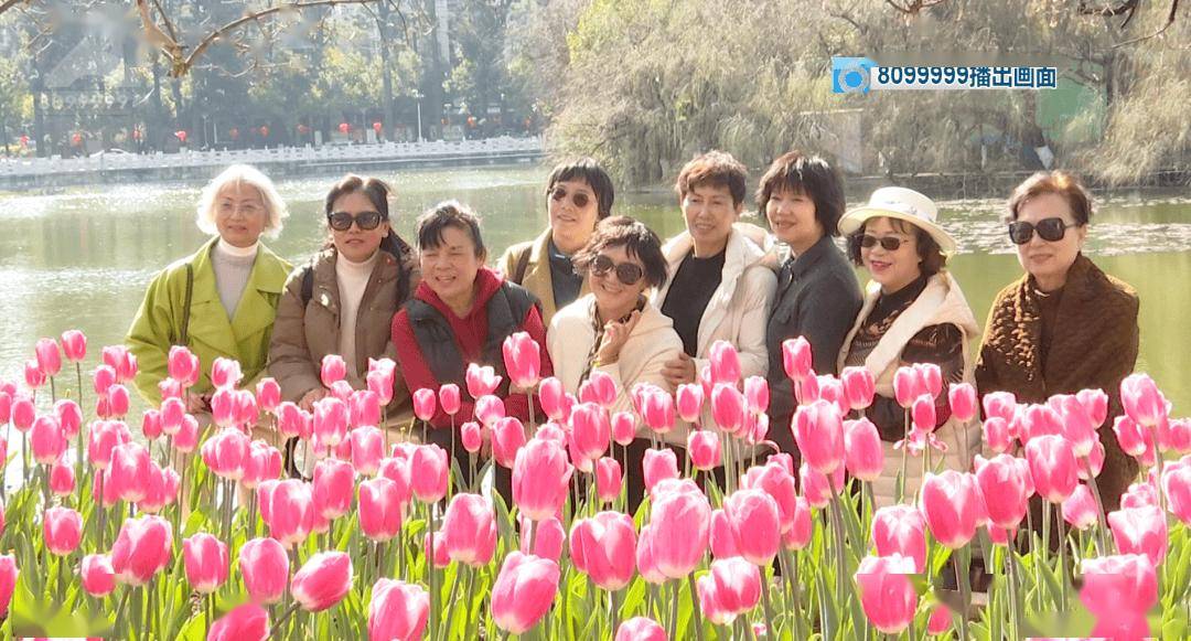 00后不赶场、银发族避高峰！昆明凭气候风光圈粉两代人