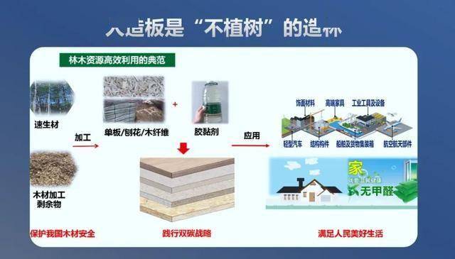 “无醛不成胶”？科学家有了新突破！