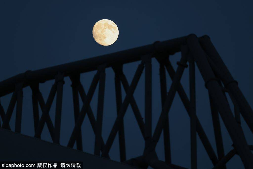 斯洛特赞扬利物浦和英格兰足球超级联赛狼队球迷在安菲尔德对迪奥戈·若塔的“特别”致敬