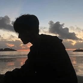 低氮冷凝锅炉生产厂家
