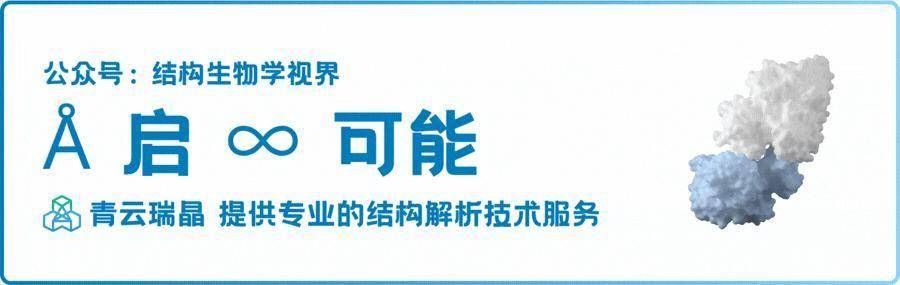 不只靶向 E3酶，E2 泛素结合酶也能开发小分子抑制剂