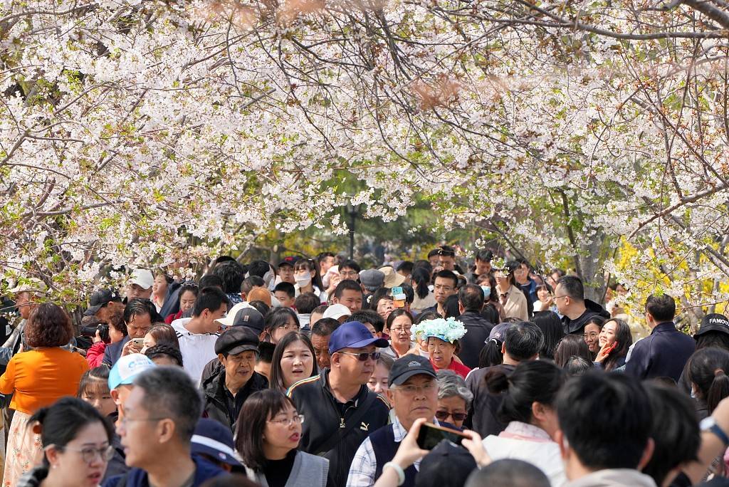 北京清明节游客多图片