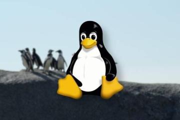 在Linux系统中，如何处理内存管理和优化的问题？