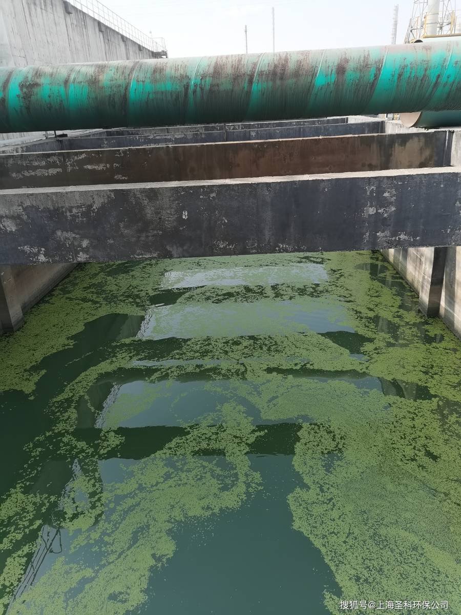 上海工厂污水池清理 大型生化池打捞 集淤井转运-搜狐大视野-搜狐新闻
