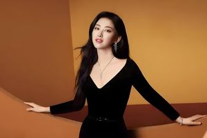 政企PPP项目合作闹掰了？棕榈股份下属企业状