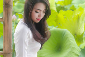 携程深陷信任危机：大数据杀熟、霸王条款引发消