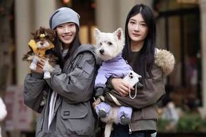 《港岛传奇》高益玲以普通食品冒充神药 每盒售