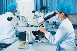 媒体称首衡集团涉嫌骗贷10亿元：揭秘利用员工骗贷涉事公司
