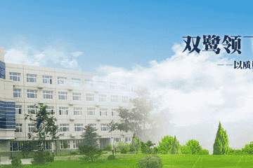 药品不合格、盈利看“脸色” 双鹭药业全年亏损几成定局